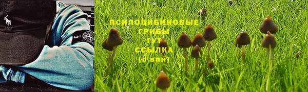марки nbome Балахна