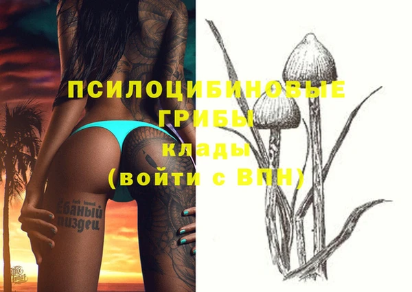 молекула духа Алексин