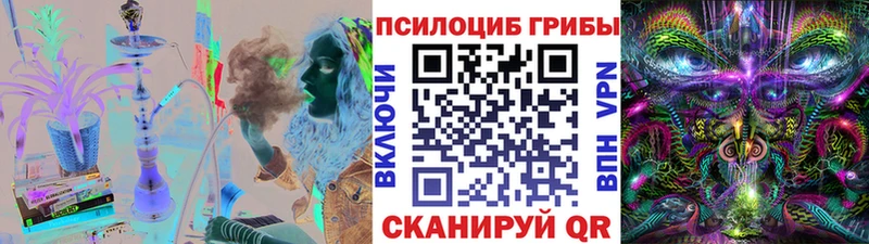Псилоцибиновые грибы Psilocybine cubensis  Купить  Пущино 